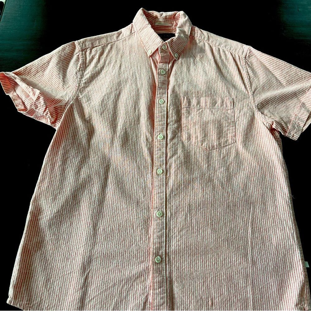 Striped Short Sleeve Button Down